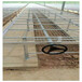 吉林白城温室大棚培植种苗育苗床热镀锌苗床丝径网孔定制生产