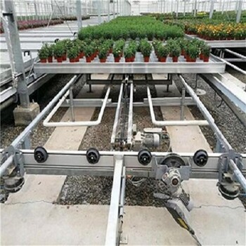 江苏宿迁温室种植物流苗床流水线养花育苗床种植花卉自动化设备