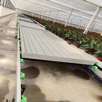 潮汐苗床大棚溫室植物花卉種植培育苗床無土栽培溫室大棚苗床定制
