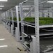 广东广州温室出口种植育苗床多层轨道移动苗床多层种植架量尺定制