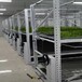 廣東廣州溫室出口種植育苗床多層軌道移動苗床多層種植架量尺定制