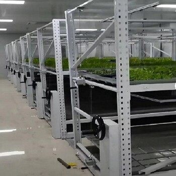 廣東廣州溫室出口種植育苗床多層軌道移動(dòng)苗床多層種植架量尺定制