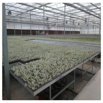 航迪現代化育苗床潮汐灌溉苗床水培種植