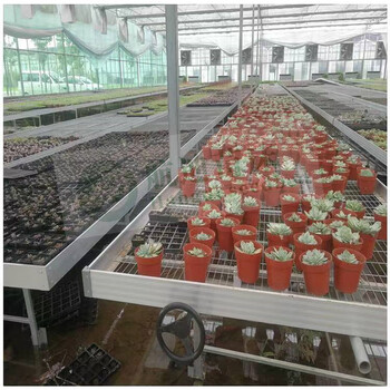 潮汐灌溉式苗床智能水培蔬菜育苗水肥一體航迪