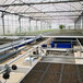 全自动潮汐苗床水培灌溉式栽培床物流式移动苗床航迪