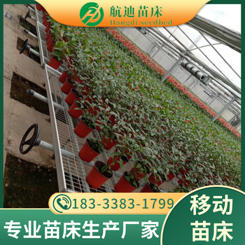 山东寿光大棚蔬菜种植架反季节种植盆栽花卉栽培床