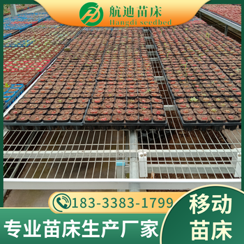 移動(dòng)式育苗床設(shè)備農(nóng)業(yè)現(xiàn)代化溫室大棚種植移動(dòng)育苗床架子廠