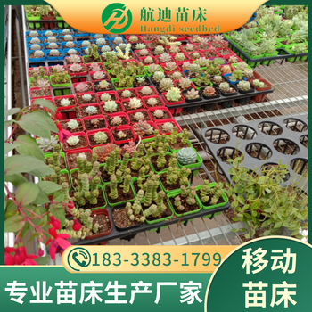 移動式育苗床設(shè)備農(nóng)業(yè)現(xiàn)代化溫室大棚種植移動育苗床架子廠