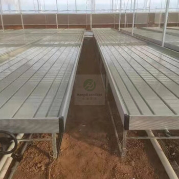 航迪水培植物綠蘿多肉盆栽種植水培花卉潮汐苗床