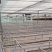 移动苗床1.7米左右宽度长度可任意调整养花育苗床移动式温室用