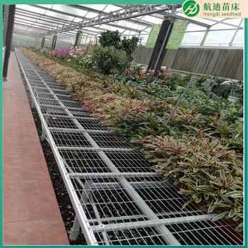 溫室大棚移動(dòng)苗床及配件熱鍍鋅苗床網(wǎng)片活動(dòng)苗床生產(chǎn)廠