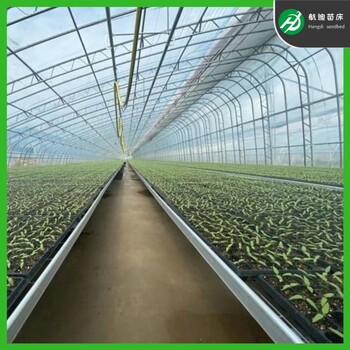 現(xiàn)代溫室育苗設(shè)備潮汐灌溉式苗床水培花卉種植床可移動(dòng)