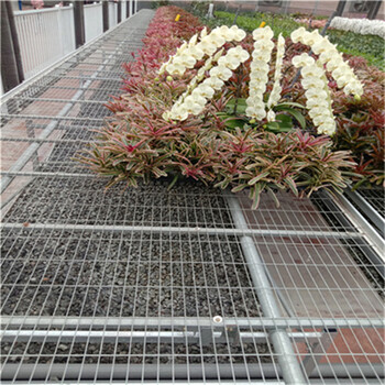 盆栽草莓移動育苗床花卉種植半自動栽培床苗床配件