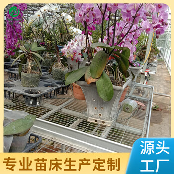 溫室大棚蔬菜瓜果種植的幫手固定苗床種植苗床育苗架