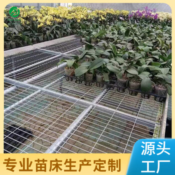 航迪生产型移动式苗床床面左右可移动种植作物稳固性能好