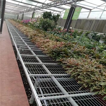 溫室大棚花卉育苗架熱鍍鋅苗床網(wǎng)有效利用空間