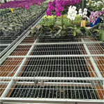 航迪移动式苗床网温室花卉种植蔬菜育苗可定制厂