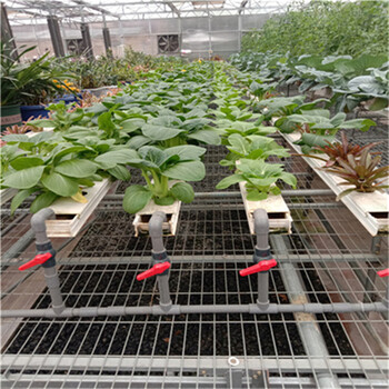 航迪生产型移动式苗床床面左右可移动种植作物稳固性能好