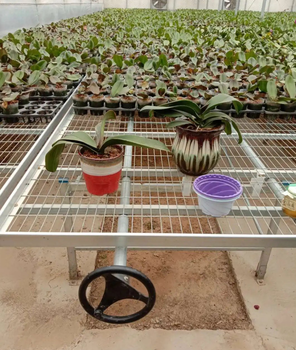 航迪大棚韭菜種植架栽培床秧苗育苗床黑料焊接后鍍鋅網(wǎng)