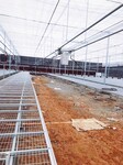 湖北武汉温室大棚种植育苗设备移动苗床架镀锌铁网