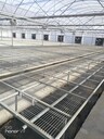 溫室育苗鋼絲熱鍍鋅移動苗床半自動栽培床平板手搖式種植床