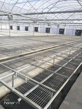 温室栽培床新型的育苗床设备手摇式活动苗床网架厂家供应