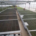 航迪温室大棚潮汐式灌溉育苗床水培绿叶养花栽培床