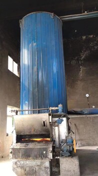 新疆內(nèi)蒙古35噸燃煤鏈條鍋爐高分子脫硝廠家
