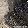 宁波北仑废钛回收厂-周边回收挂具钛单位电话号码图片