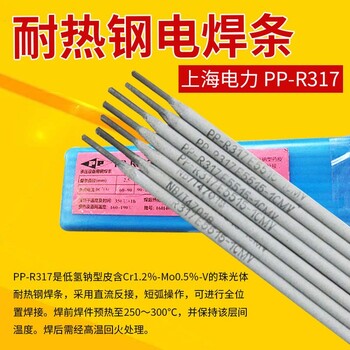 上海電力PP-TIG2209Cr22Ni8Mo3N鐵素體雙相不銹焊條