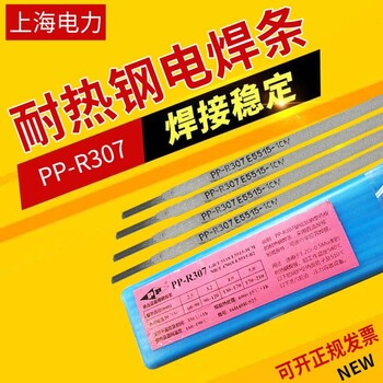 電力PP-MG55-1CM焊材耐熱鋼焊絲氣保實心焊條