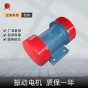 震動(dòng)電機(jī)YZS-30-61.85KW肥業(yè)化工企業(yè)用三相