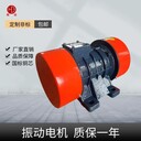 震打電機(jī)MVE300/3-30AO0.15kw三相單相220V電機(jī)