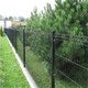 ral6005