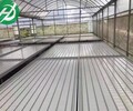 農業設施自動化—溫室栽培床—花卉苗床廠家質量有