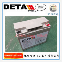 德国DETA银杉蓄电池12VEG20F直流屏UPS应急用12V-20Ah铅酸电池