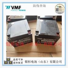 德国VMF-BATTERY蓄电池GP12-24机房UPS不间断电源用12V-24AH电池