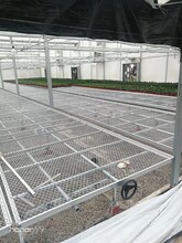 冲压钢板网移动苗床温室大棚蔬菜花卉穴盘育苗承重力大品质高