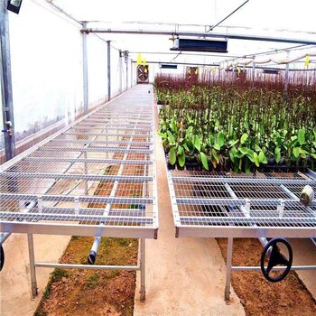 移動(dòng)苗床生產(chǎn)廠家用途蔬菜育苗大棚種植育苗床類型