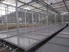 智能温室水培育苗设备潮汐式灌溉苗床加厚潮汐面板