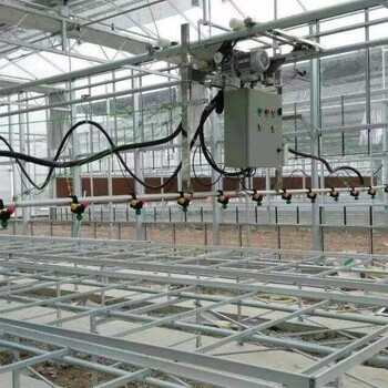 半自動育苗水車自動往返式噴灌機(jī)溫室育苗噴灌車