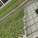 潮汐苗床的介紹與優(yōu)勢