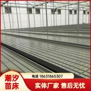 移動(dòng)連棟溫室育苗床潮汐苗床定制航迪苗床廠家生產(chǎn)