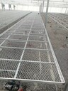如何搭建苗床