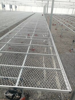 如何搭建苗床