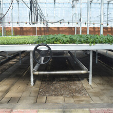 移动苗床镀锌工艺栽植床设施1.22*2.44米