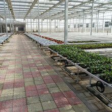温室花卉苗床育苗营养移动床铝合金架子加厚边框