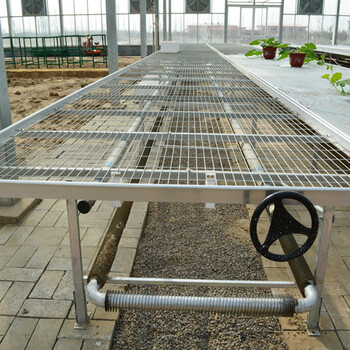 江苏温室大棚可移动苗床及配件厂家批发无土栽培架