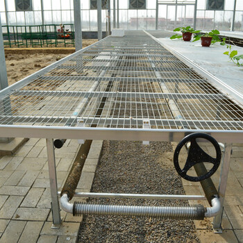 廣東現(xiàn)代農(nóng)業(yè)植物工廠種植架移動苗床配件廠家直發(fā)