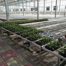 蔬菜移动培育床植物热镀锌网片铝合金框架苗床